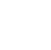 Southernco V W