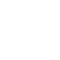 Southernco V W (1)